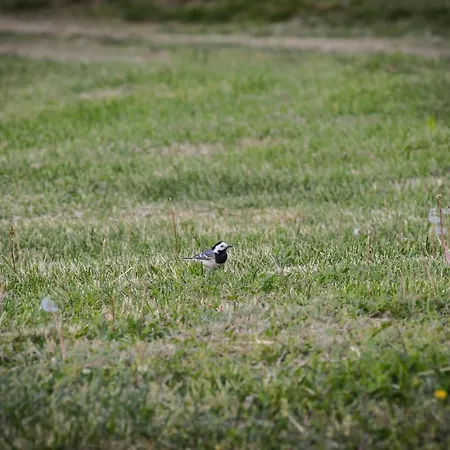 Brvnara Promaja Hétvégi ház *